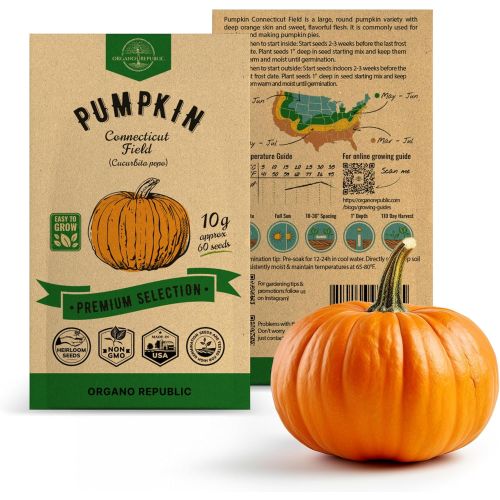 Pumpkin Seed 50 G