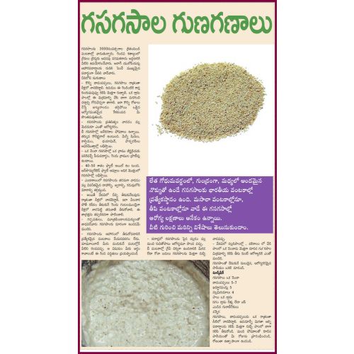 Ome Gasa Gasalu 50 G