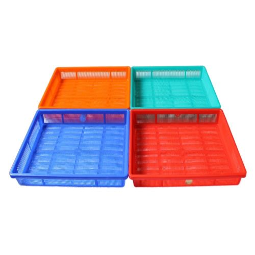 Chetan Tray
