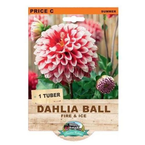 Harmoney Dalia 500 G