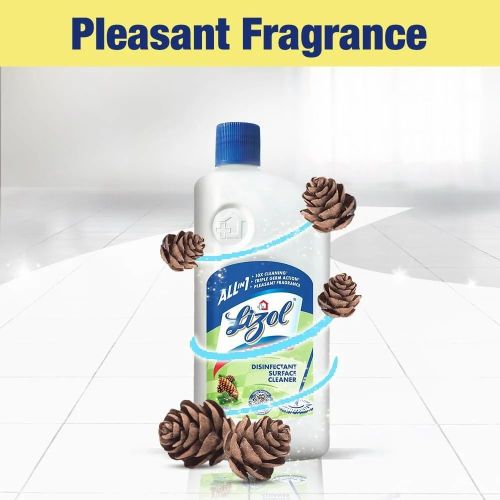 Lizol Pine 500 Ml