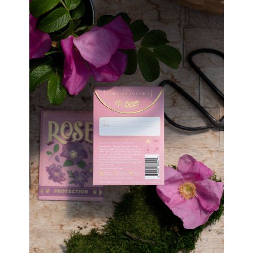 Rose F/b 1 Lt