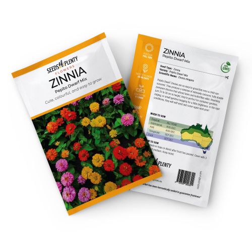 P/w Zinnia Petjar 5467