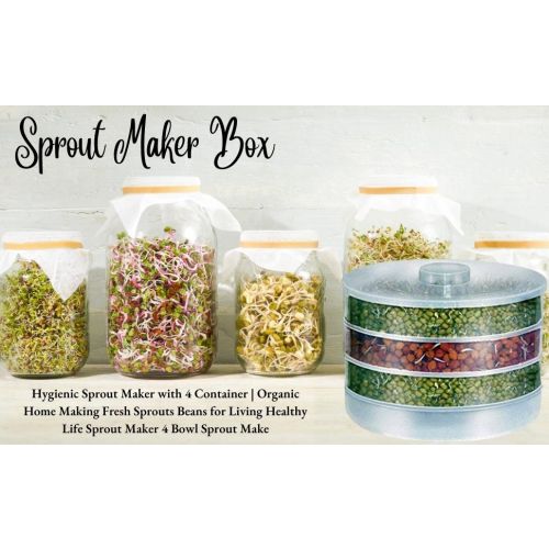 Sprout Maker Small